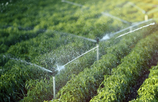 Santhe Irrigation Scheme & Agro-processing Factories