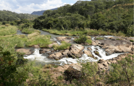 AGCOM’s Dwambazi Irrigation Scheme-World Bank