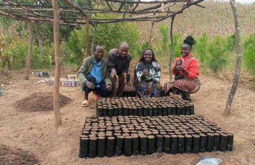 GreenCollar’s Smallholder Reforestation in Malawi