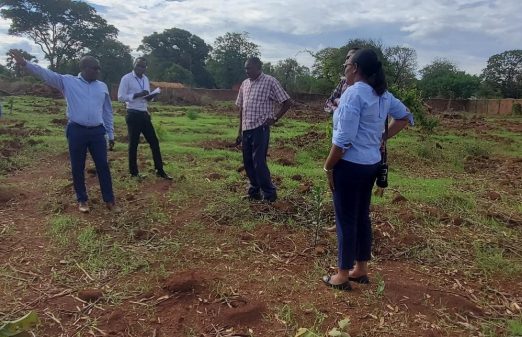 Construction and Operation of a Cannabinoids Extraction Plant